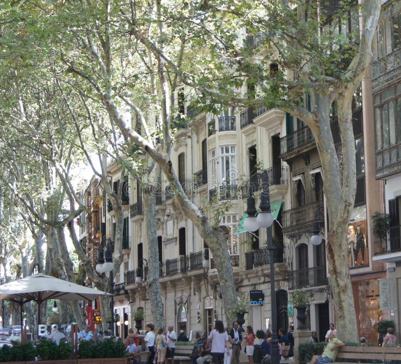 מלון Rambla Palma Center מראה חיצוני תמונה