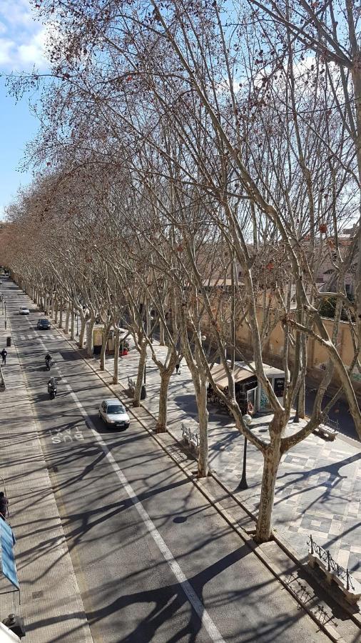 מלון Rambla Palma Center מראה חיצוני תמונה